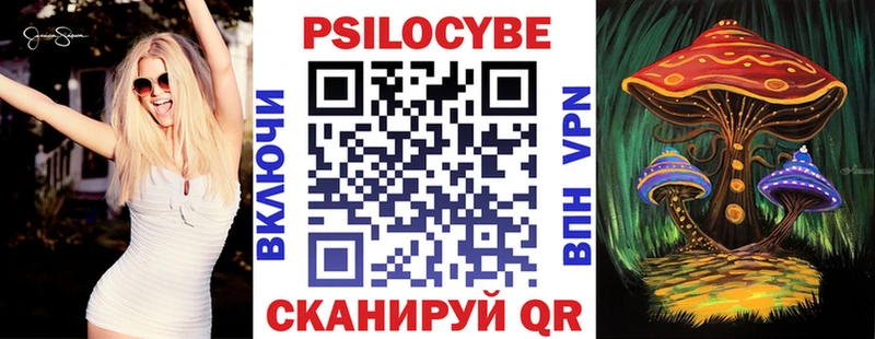 магазин  наркотиков  Тайшет  ОМГ ОМГ ссылки  Псилоцибиновые грибы Psilocybe 